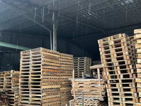 THANH LÝ PALLET TẠI KHO