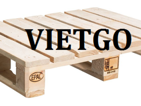 Thương vụ xuất khẩu pallet gỗ sang thị trường Hà Lan