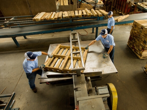 Pallet gỗ và những điều bạn cần biết