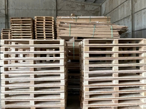 Pallet Ván Ép 4 Hướng Xe Nâng ( 1200 x 1200 x 120mm )