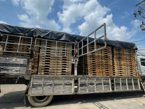 Pallet Gỗ Tràm Xuất Khẩu