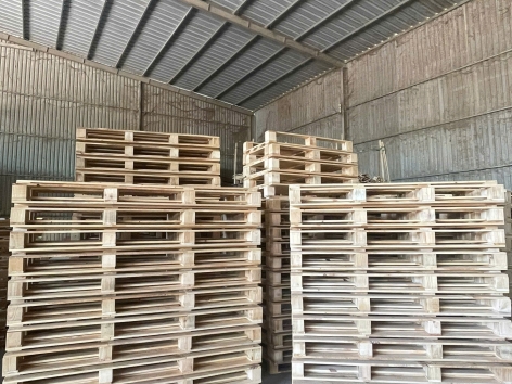 Pallet Gù Gỗ Thông (700 * 1610 * 135mm )