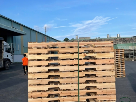 Pallet Tràm Đố Khuyết Xe Nâng 4 Hướng( 650 * 1800* 120mm )