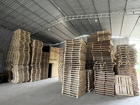 THANH LÝ PALLET TÂN UYÊN