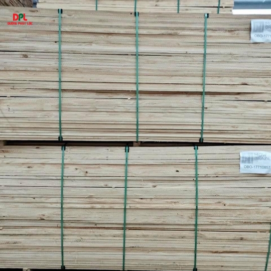 NHẬP KHẨU GỖ THÔNG